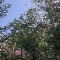 評論圖片 1
