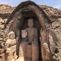 評論圖片 5