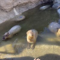 評論圖片 5