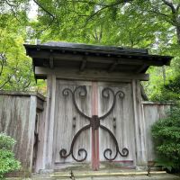 評論圖片 4
