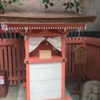評論圖片 6