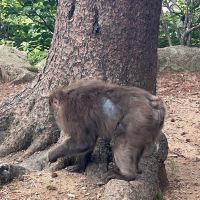 評論圖片 6