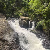 評論圖片 7