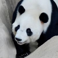 評論圖片 8