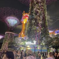 評論圖片 6