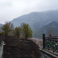評論圖片 2