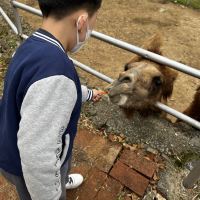 評論圖片 6