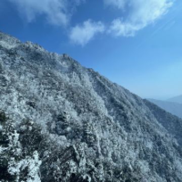 評論圖片 8
