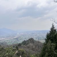 評論圖片 2