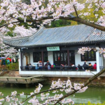 評論圖片 9