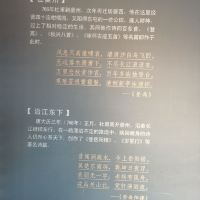 評論圖片 8