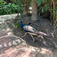 評論圖片 4