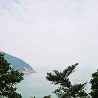 評論圖片 6