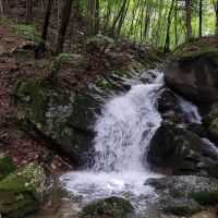 評論圖片 5