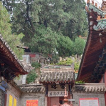 評論圖片 3
