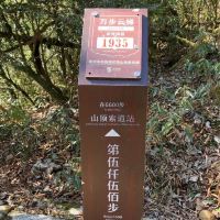 評論圖片 2