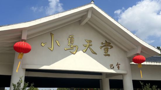 本是衝著&ldquo;一樹成林&rdquo;的奇觀去的，結果