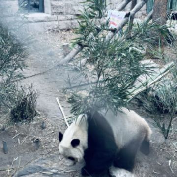 評論圖片 6