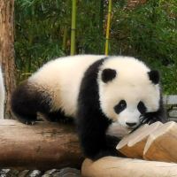 評論圖片 6