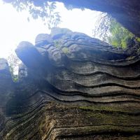 評論圖片 5