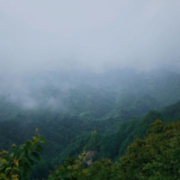 評論圖片 4