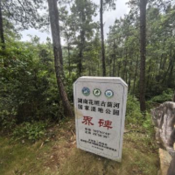 評論圖片 2