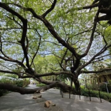 評論圖片 4