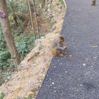 評論圖片 2