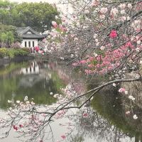 評論圖片 6