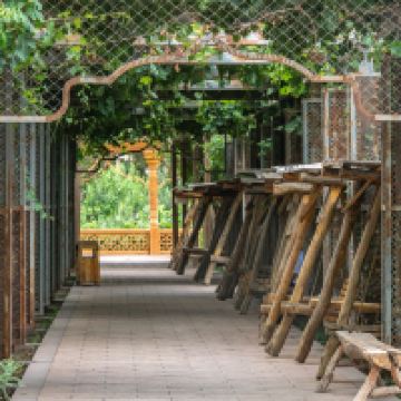 評論圖片 8