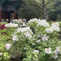 評論圖片 8