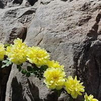 評論圖片 8