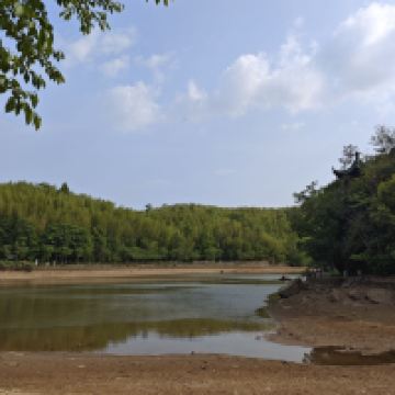 評論圖片 4