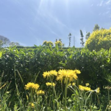 評論圖片 2