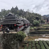 評論圖片 1