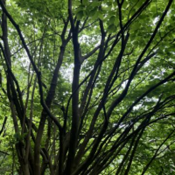 評論圖片 5