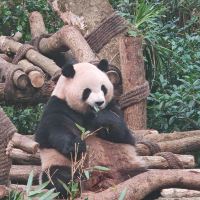 評論圖片 5