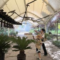 評論圖片 5