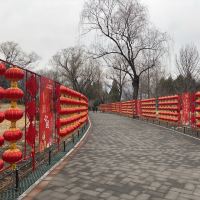 評論圖片 2