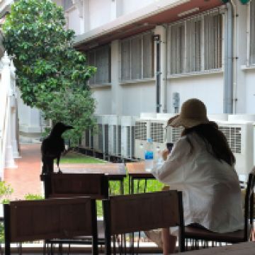 評論圖片 6