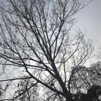 評論圖片 2