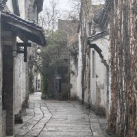 評論圖片 6