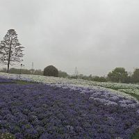 評論圖片 2