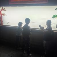 評論圖片 2