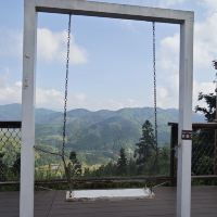 評論圖片 3