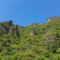 評論圖片 1