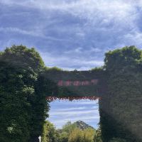 評論圖片 8