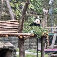 評論圖片 3