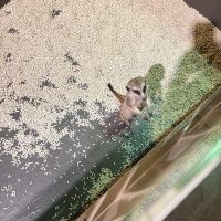 評論圖片 2
