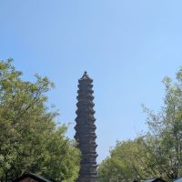評論圖片 1